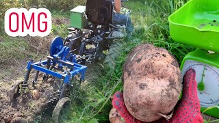 Копаємо картоплю (ПП Крючков), тестуємо нову гідравліку